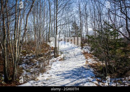 randonnée pédestre sur le sentier transcanadien en hiver sur la section du parc de shubie le long du lac charles Banque D'Images