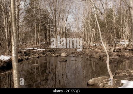 Ruisseau Grassy Banque D'Images