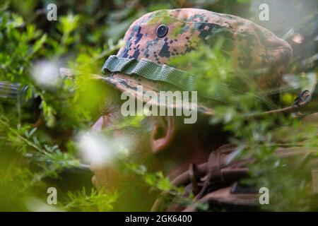 Un étudiant de l'École d'infanterie-est du corps des Marines des États-Unis assure la sécurité pendant le cours de Marine d'infanterie (IMC) sur le camp de base du corps des Marines Lejeune, en Caroline du Nord, le 12 août 2021. L'IMC est un programme d'instruction de 14 semaines conçu pour créer des Marines d'infanterie plus qualifiées et plus létales qui sont préparées à la compétition et au conflit du XXIe siècle. Banque D'Images