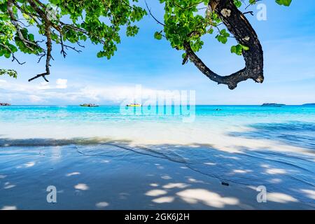 Belle plage de sable avec des vagues s'écrasant sur la rive de sable aux îles Similan belle mer tropicale Similan île No.4 au parc national de Similan, Phang Banque D'Images
