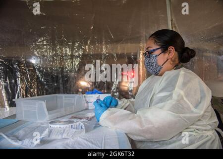 Alexis Ramirez, phlébotomiste du 59e Escadron de diagnostics médicaux et de thérapies, scelle un test COVID-19 pour le transport au Wilford Hall Ambulatory Surgical Centre, joint base San Antonio-Lackland (Texas), le 18 août 2021. Comme le site de test utilise les tests de réaction en chaîne de la polymérase, les résultats sont mis à la disposition des patients par l'intermédiaire de TRICARE Online dans un délai de 24 à 72 heures. Banque D'Images