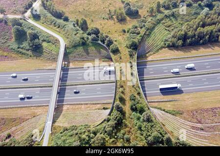 Ecoduit de Borkeld sur l'autoroute A1 à Rijssen aux pays-Bas Banque D'Images