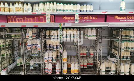 Londres, Royaume-Uni. 13 septembre 2021. Dans la branche de Clapham High Street du supermarché Sainsbury, les bananes en vrac sont presque complètement en rupture de stock, bien que des sacs de bananes soient disponibles juste au coin de la rue. Dans la section des refroidisseurs de produits laitiers, des signes spéciaux ont été faits en attribuant les écarts dans les étagères à une forte demande, mais il est connu que des problèmes de distribution se produisent en raison des pénuries de conducteurs de HGV causées par la tempête parfaite du Brexit et de la pandémie. Credit: Anna Watson/Alay Live News Banque D'Images