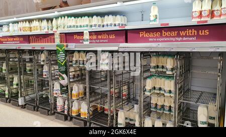 Londres, Royaume-Uni. 13 septembre 2021. Dans la branche de Clapham High Street du supermarché Sainsbury, les bananes en vrac sont presque complètement en rupture de stock, bien que des sacs de bananes soient disponibles juste au coin de la rue. Dans la section des refroidisseurs de produits laitiers, des signes spéciaux ont été faits en attribuant les écarts dans les étagères à une forte demande, mais il est connu que des problèmes de distribution se produisent en raison des pénuries de conducteurs de HGV causées par la tempête parfaite du Brexit et de la pandémie. Credit: Anna Watson/Alay Live News Banque D'Images