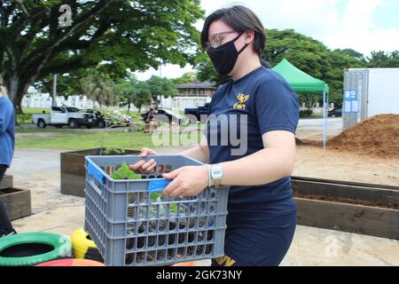 HAGATÑA, Guam (août 23, 2021) - des marins basés à Guam, des membres de leur famille et des Marines en visite se sont portés volontaires au jardin communautaire de croissance verte de Guam, à Hagatña, en août 20. Les volontaires ont mélangé du compost et du sol, déplacé des lits de jardin, posé du tissu d'aménagement paysager et planté des semis et des plantes. Les commandements suivants ont participé : base navale américaine Guam U.S. Naval Hospital Guam Ship support Unit Guam U.S. Naval Computer and Telecommunications Station Guam combat Logistics Regiment 17 les objectifs du jardin communautaire comprennent l’éradication de la faim, la promotion de la santé et du bien-être, et le soutien alimentaire Banque D'Images