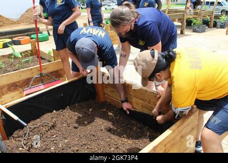 HAGATÑA, Guam (août 23, 2021) - des marins basés à Guam, des membres de leur famille et des Marines en visite se sont portés volontaires au jardin communautaire de croissance verte de Guam, à Hagatña, en août 20. Les volontaires ont mélangé du compost et du sol, déplacé des lits de jardin, posé du tissu d'aménagement paysager et planté des semis et des plantes. Les commandements suivants ont participé : base navale américaine Guam U.S. Naval Hospital Guam Ship support Unit Guam U.S. Naval Computer and Telecommunications Station Guam combat Logistics Regiment 17 les objectifs du jardin communautaire comprennent l’éradication de la faim, la promotion de la santé et du bien-être, et le soutien alimentaire Banque D'Images