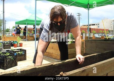 HAGATÑA, Guam (août 23, 2021) - des marins basés à Guam, des membres de leur famille et des Marines en visite se sont portés volontaires au jardin communautaire de croissance verte de Guam, à Hagatña, en août 20. Les volontaires ont mélangé du compost et du sol, déplacé des lits de jardin, posé du tissu d'aménagement paysager et planté des semis et des plantes. Les commandements suivants ont participé : base navale américaine Guam U.S. Naval Hospital Guam Ship support Unit Guam U.S. Naval Computer and Telecommunications Station Guam combat Logistics Regiment 17 les objectifs du jardin communautaire comprennent l’éradication de la faim, la promotion de la santé et du bien-être, et le soutien alimentaire Banque D'Images