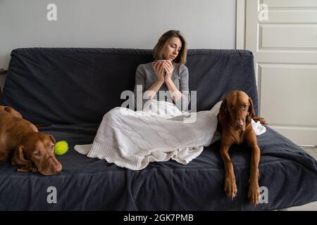 Une femme solitaire passe le week-end à la maison boire du thé avec deux chiens, pas de petit ami et d'amis après le divorce Banque D'Images