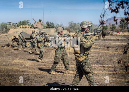 Les Marines des États-Unis avec la Compagnie B., 1er Bataillon, 7e Régiment marin (renforcé), Marine Rotational Force – Darwin, marchent en ligne pour obtenir un objectif lors d'un assaut d'infanterie mécanisé à la zone d'entraînement de Bradshaw Field, territoire du Nord, Australie, 28 août 2021. L'assaut d'infanterie mécanisé a permis à Marines de travailler aux côtés des transporteurs de personnel blindé M113AS4 australiens et des chars de bataille principaux M1A1 Abrams de saisir un point objectif. L’exercice Koolendong valide la capacité des FRM-D et de la Force de défense australienne à mener des opérations de commandement et de contrôle expéditionnaires, démontrant ainsi l’engagement commun envers Banque D'Images