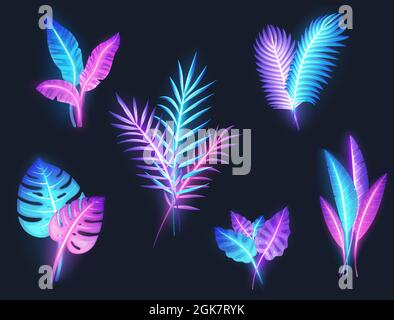 Banane tropicale au néon, plantes monstères, ensemble de feuilles de palmier exotiques, illustration vectorielle isolée.Vacances d'été à la plage. Illustration de Vecteur