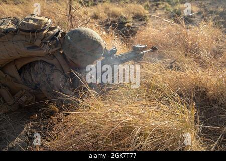 Caporal de lance du corps des Marines des États-Unis Calvin Kinnersley, un rifleman de la Compagnie A., 1er Bataillon, 7e Régiment de Marine (renforcé), Marine Rotational Force – Darwin fournit des incendies suppressifs pendant l'exercice Koolendong à la zone d'entraînement de Bradshaw Field, territoire du Nord, Australie, le 29 août 2021. Les soldats des Marines des États-Unis et de l'armée australienne ont travaillé ensemble pour effectuer une simulation d'assaut aérien au cours de l'exercice. L’exercice Koolendong valide la capacité des FRM-D et de la Force de défense australienne de mener des opérations de commandement et de contrôle expéditionnaires, démontrant l’engagement commun d’être prêts à répondre à un irc Banque D'Images