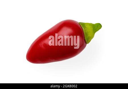 Piment rouge chaud ornemental sur fond blanc. Mini-gousse entière de piments annuum décoration poivre. Assaisonnement épicé cru. Banque D'Images