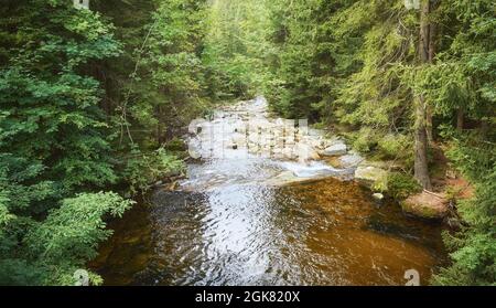 Rivière Mumlava, affluent de la Jizera dans les montagnes géantes, République tchèque. Banque D'Images