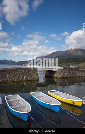 Trois bateaux à rames amarrés sur les rives du lac Ashi, en direction du Mont Fuji, préfecture de Kanagawa, au Japon Banque D'Images