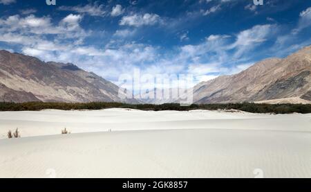 Dunes de Nubra Valley - Ladakh - Jammu-et-Cachemire - Himalaya indien Banque D'Images