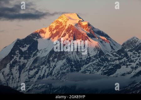 Vue en soirée sur le mont Dhaulagiri - Népal Banque D'Images