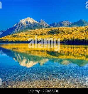 Le mélèze dans la couleur de l'automne et les pics au-dessus du lac bowman dans le Glacier National Park, Montana Banque D'Images