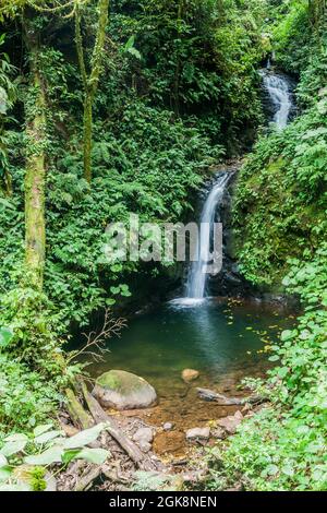 Cascade de San Luis dans une forêt nuageuse de Reserva Biologica Bosque Nuboso Monteverde, Costa Rica Banque D'Images