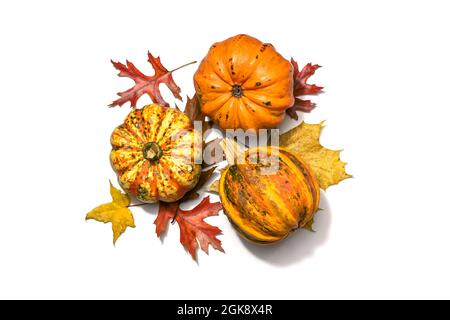 Arrangement avec trois cendre ou citrouilles alimentaires et feuilles d'automne colorées, Halloween ou action de grâce concept, isolé sur un fond blanc avec cop Banque D'Images