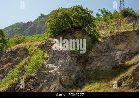 Montagnes avec arbres et rochers, montagnes de la province de gilan, Iran. Arbres et plantes au bord d'un rocher Banque D'Images