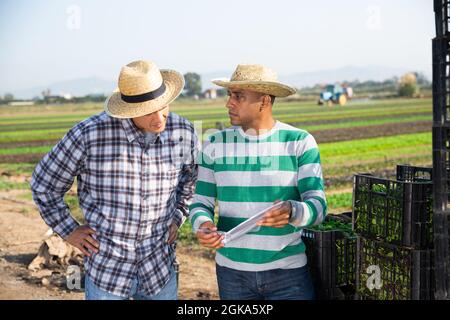 Deux agriculteurs planifient des travaux sur le terrain Banque D'Images