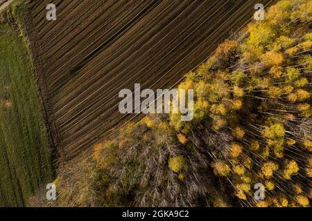 Vue aérienne de la zone de déforestation pour les terres agricoles par drone. Zone de contact entre forêt et plantation Banque D'Images