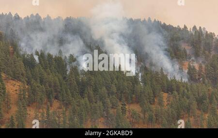 Feu de forêt, catastrophe naturelle. La fumée provient d'un feu de forêt sur les montagnes du parc national en Colombie-Britannique, Canada-août 23,2021. Mise au point sélective, rue vi Banque D'Images