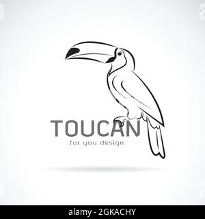 Vecteur du motif birb toucan sur fond blanc. Animaux sauvages. Illustration vectorielle superposée facile à modifier. Illustration de Vecteur