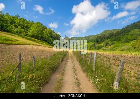 Sentier sur le sentier du Mont Ramaeto près du village de Ventarola, province de Gênes, Italie Banque D'Images