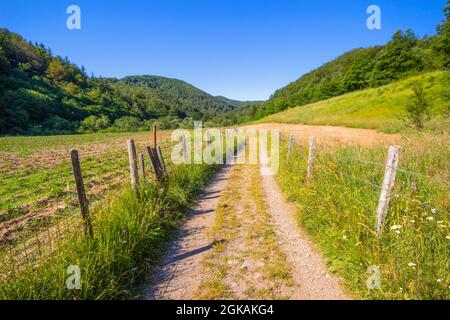 Sentier sur le sentier du Mont Ramaeto près du village de Ventarola, province de Gênes, Italie Banque D'Images