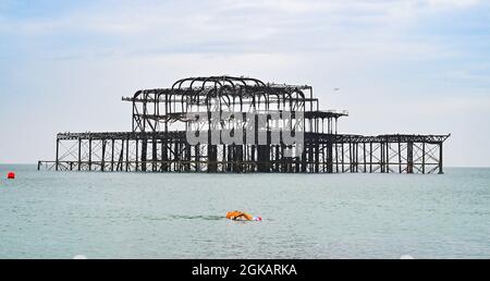 Brighton Royaume-Uni 14 septembre 2021 - un nageur tôt le matin n'est pas mis au loin par la forte pluie à Brighton avec plus d'un mois de précipitations prévues pour certaines parties de la Grande-Bretagne aujourd'hui : crédit Simon Dack / Alay Live News Banque D'Images