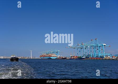 port de rotterdam / pays-bas - 2021.09.02: navire à conteneurs mette maersk (imo # 9632155) chargement / déchargement au terminal apm prinses amaliahaven Banque D'Images