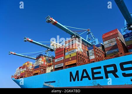 port de rotterdam / pays-bas - 2021.09.02: navire à conteneurs mette maersk (imo # 9632155) chargement / déchargement au terminal apm prinses amaliahaven Banque D'Images