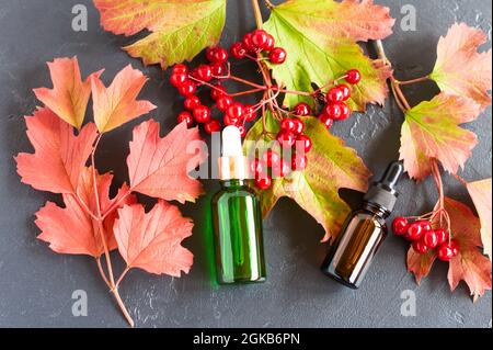 huile cosmétique de viburnum dans des bulles avec compte-gouttes, feuilles et baies de viburnum sur fond noir. vue de dessus Banque D'Images