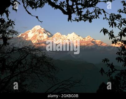 Vue en soirée sur le mont Dhaulagiri - Népal Banque D'Images