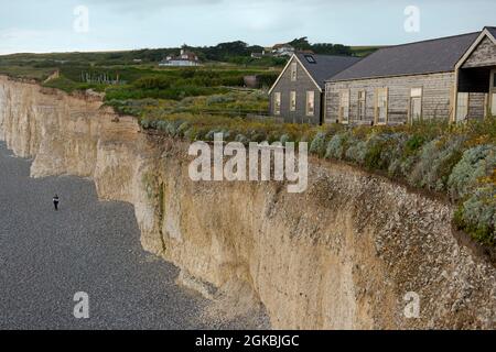 Birling Gap, situé sur les Seven Sisters près de Beachy Head, près d'Eastbourne, Sussex, Royaume-Uni Banque D'Images