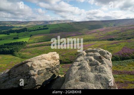 Les pierres de millepertuis, un affleurement de pierre à aiguiser dans les collines au-dessus de Glossop dans le pic élevé, Derbyshire, Angleterre. Fleur de bruyère sur les landes ci-dessous. Banque D'Images