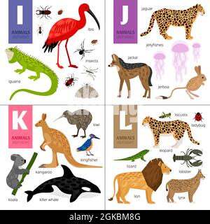Motif alphabet vectoriel avec animaux mignons Illustration de Vecteur