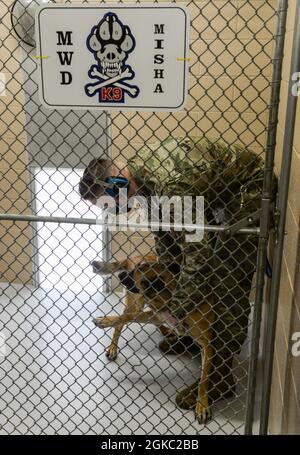 Sergent d'état-major de la Force aérienne des États-Unis William Sims, maître d'œuvre militaire du 88e Escadron des forces de sécurité, accueille MWD Misha après son entrée dans son chenil à la base aérienne Wright-Patterson, Ohio, le 9 mars 2021. Les MWD de Wright-Patt sont responsables de la détection des stupéfiants et des explosifs pour la base, ainsi que du soutien des services de police locaux et du Service secret lorsqu'ils sont appelés. Banque D'Images
