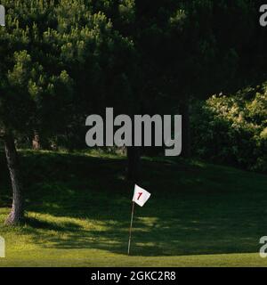 Drapeau sur le premier trou vert au golf de Benalmadena, Benalmadena, province de Malaga, Costa del sol, Andalousie, Espagne. Banque D'Images