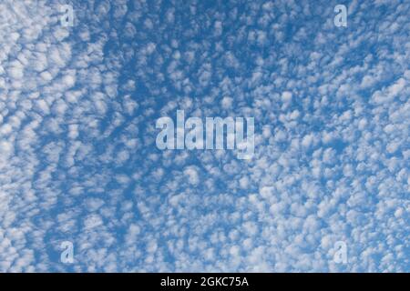 De nombreux nuages d'altocumulus dans le ciel bleu au-dessus de l'Angleterre, Banque D'Images