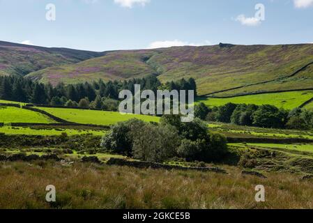 Vue sur les pierres de millepertuis de Moorfield près de Glossop, Derbyshire, Angleterre, par une journée ensoleillée fin août. Banque D'Images