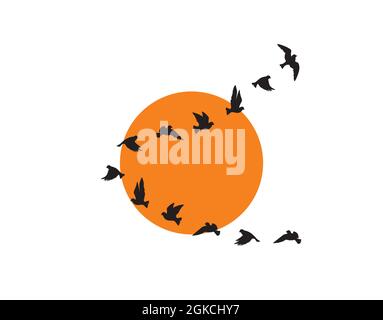 Silhouettes d'oiseaux volants au coucher du soleil isolé sur fond blanc, vecteur. Un troupeau d'oiseaux volant ensemble en harmonie, illustration. Autocollants muraux, mur Illustration de Vecteur