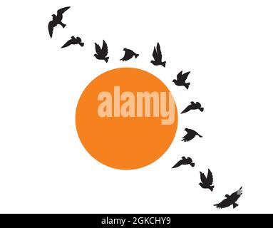 Silhouettes d'oiseaux volants au coucher du soleil isolé sur fond blanc, vecteur. Un troupeau d'oiseaux volant ensemble en harmonie, illustration. Autocollants muraux, mur Illustration de Vecteur
