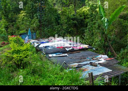 Zone pauvre de l'île de Sri Lanka. Blanchisserie sur le toit d'une maison près du chemin de fer. Banque D'Images