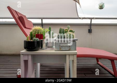 Pots pleins de cactus assortis et un hamac dans un coin d'une terrasse urbaine avec parquet en teck Banque D'Images