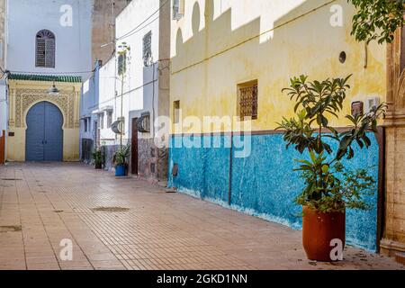 Ruelle dans la ville de Rabat avec une plante dans un tambour, des murs de couleur pâle et une porte arabe grise et jaune dans le fond typique du Maroc Banque D'Images