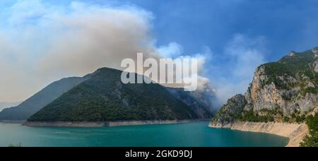 Feu de forêt au lac de Piva dans le parc national du Monténégro Banque D'Images