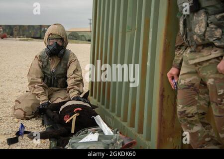 Armée américaine SGT Jonell Griffin, Centre vétérinaire de fort Campbell, attend d'autres instructions de son instructeur de l'état-major de l'armée américaine SGT. Dylan Browning, tout en menant une formation médicale sur un simulateur de traumatologie K-9 pendant un exercice mené à la joint base San Antonio-Camp Bullis, Texas, 22 mars 2021. Banque D'Images