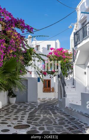 Maisons blanches Cyclades à volets bleus, vieille ville de Chora, ville de Mykonos, Mykonos, Cyclades, Grèce Banque D'Images